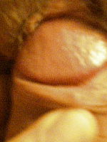 Photo 6, Close-up amateur
